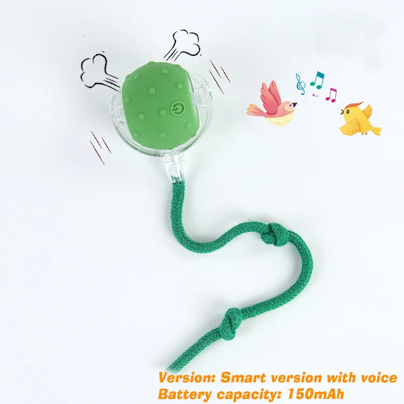 Nuevo juguete de pelota interactiva para perros, pelota automática recargable que rueda sola, juguete inteligente para cachorros y perros.🐶✨