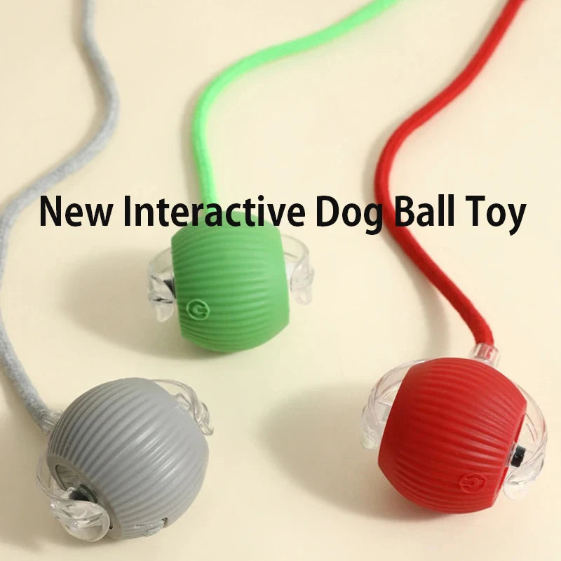 Nuevo juguete de pelota interactiva para perros, pelota automática recargable que rueda sola, juguete inteligente para cachorros y perros.🐶✨